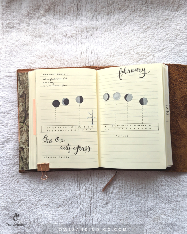February Plan With Me Lunar Bullet Journal & Spiritual BUJO – Owls&Indigo