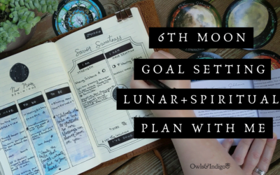 6th Moon Monthly Goals Plan With Me | Lunar Goal Setting