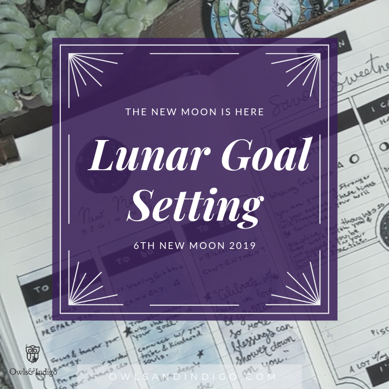 Lunar Goal Setting 6th New Moon Plan With Me