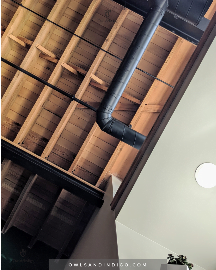 Weekly Spirituality Tip Pay attention to the world around you