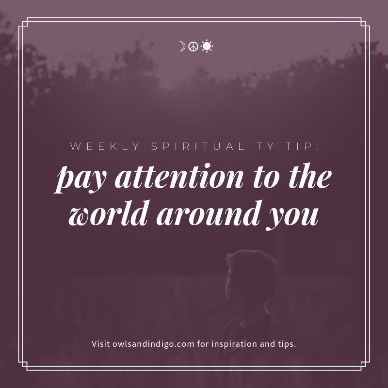 Weekly Spirituality Tip Pay attention to the world around you