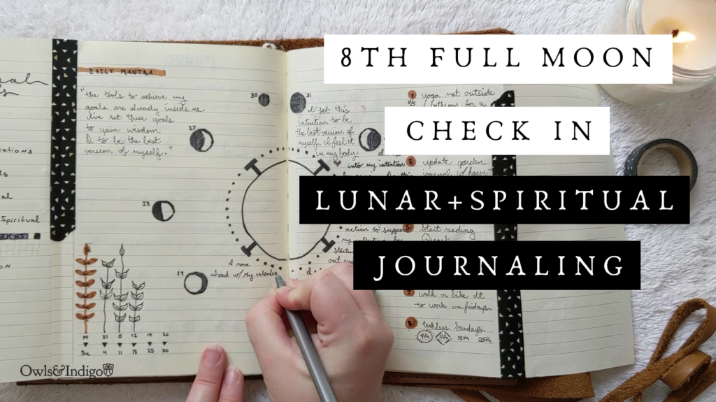 8th Full Moon Goal Setting Check In | Lunar Goal Setting Journal With Me