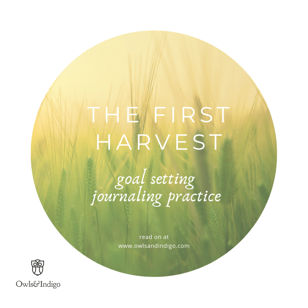 The First Harvest GOAL SETTING JOURNALING PRACTICE