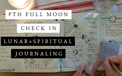 9th Full Moon Goal Setting Check In | Lunar Goal Setting Journal With Me