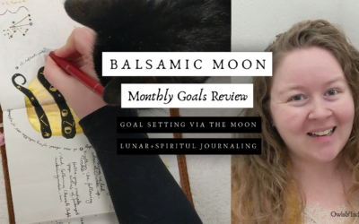 11th Balsamic Crescent Moon Monthly Goals Review Plan With Me | Lunar Goal Setting Journal With Me