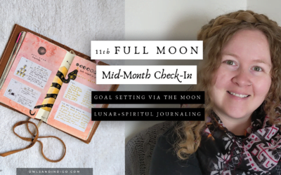 11th Full Moon Goal Setting Check In | Lunar Goal Setting Journal With Me