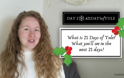 What To Expect From #21DAYSofYULE #vlogmas