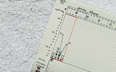 How To Track Your Fertility Awareness in a Bullet Journal