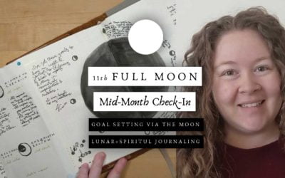 1st Moon Full Moon Mid-Month Goals Check-In