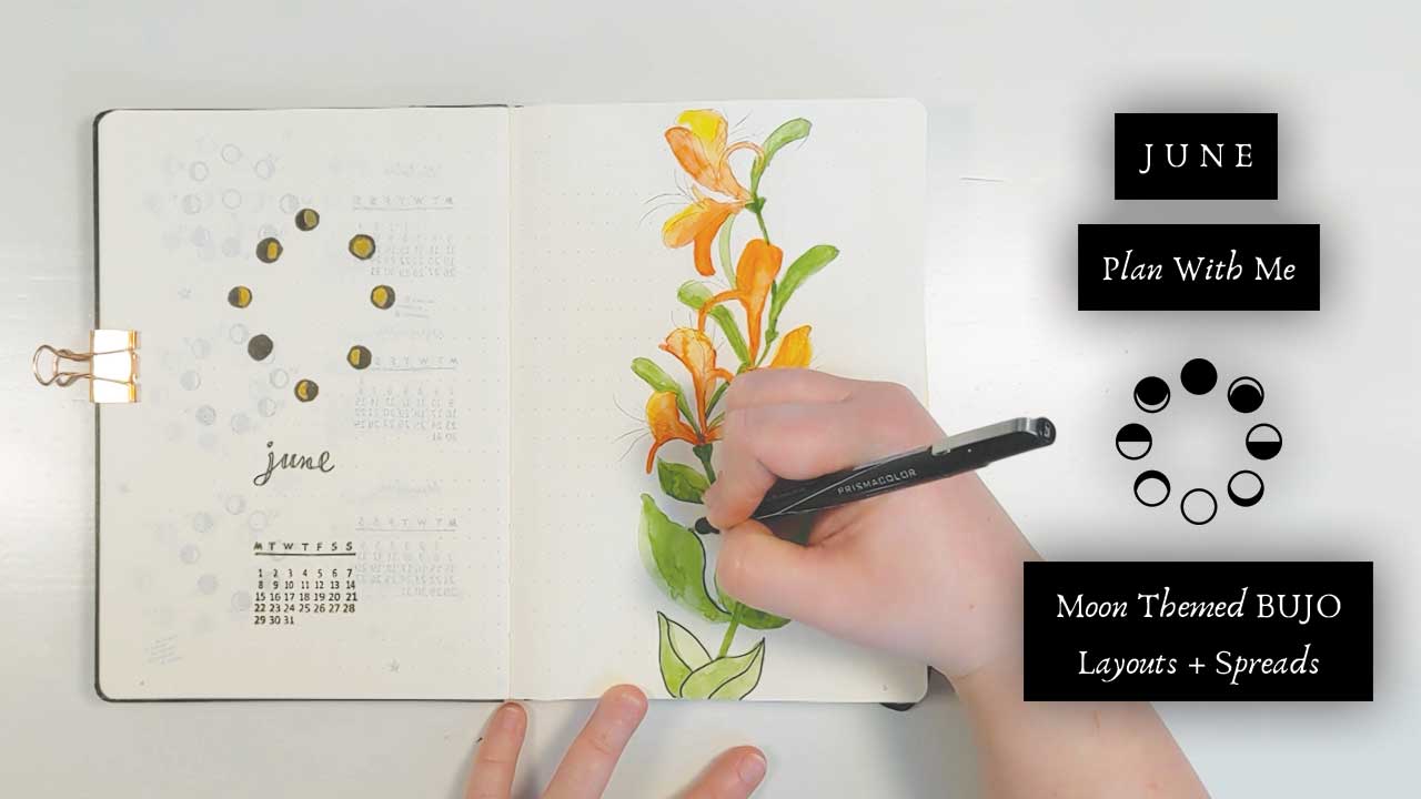 June Plan With Me | Moon Themed BUJO Layouts & Spreads